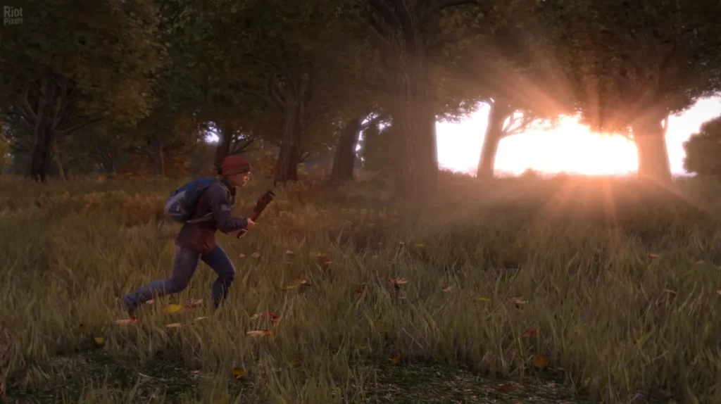 How to install DayZ PC version